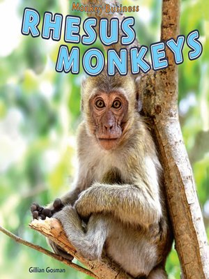 cover image of Rhesus Monkeys